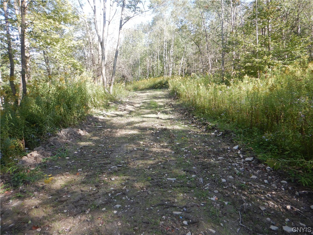 Matson Road, Richford, New York image 4