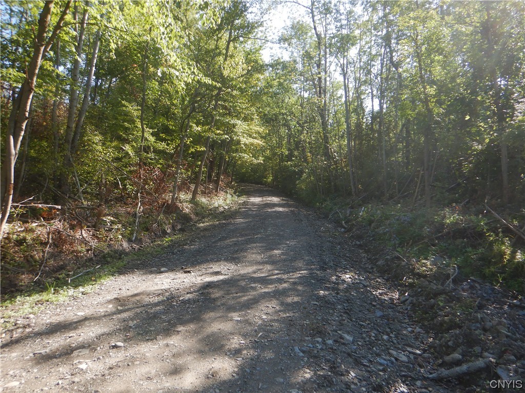 Matson Road, Richford, New York image 32