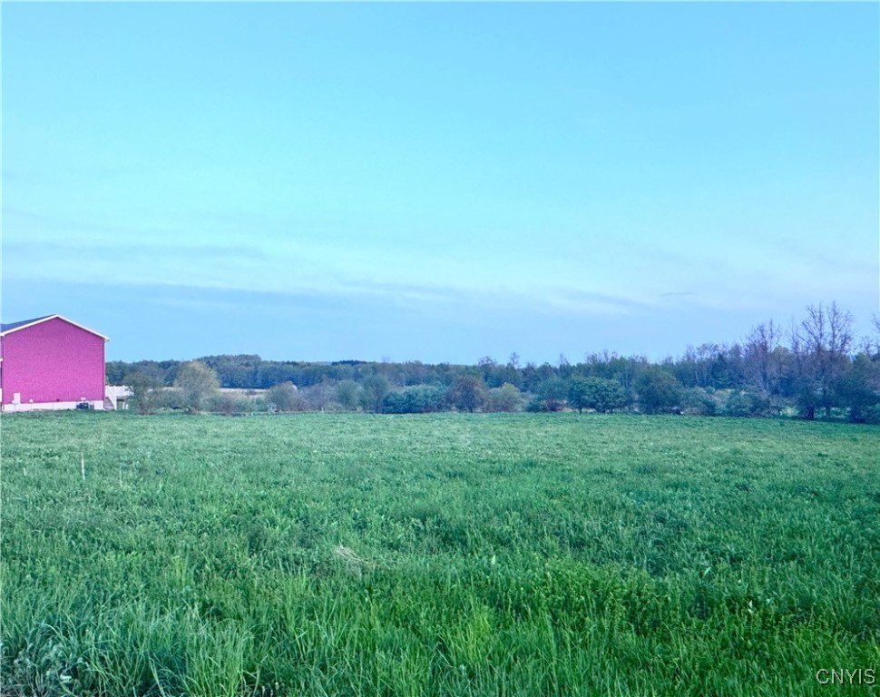 Mallory Road, New Hartford, New York image 4