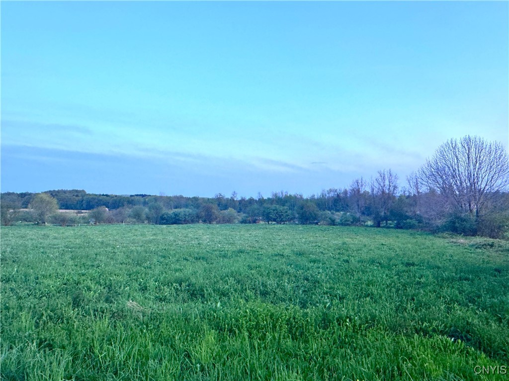 Mallory Road, New Hartford, New York image 2