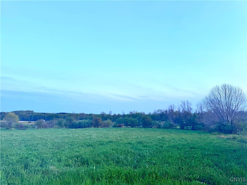 Mallory Road, New Hartford, New York image 3