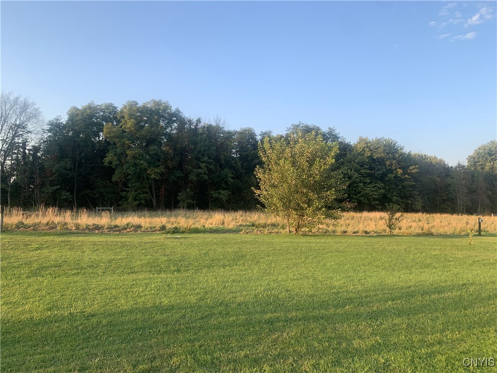 376 State Route 34, Hannibal, New York image 40