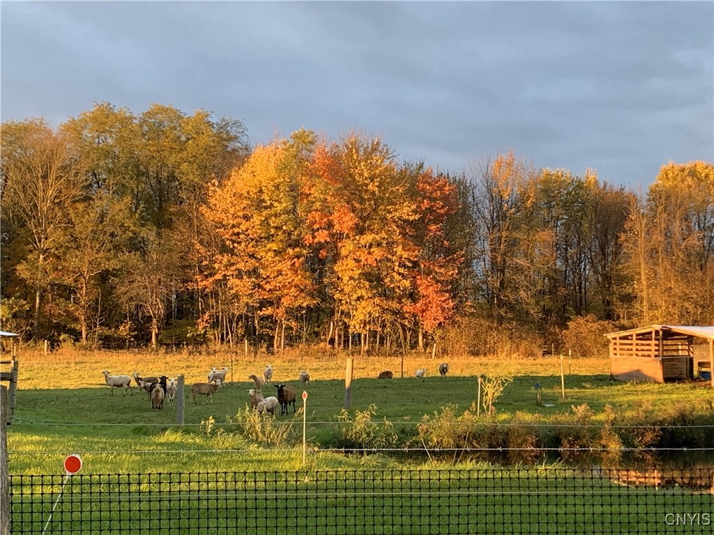 376 State Route 34, Hannibal, New York image 39