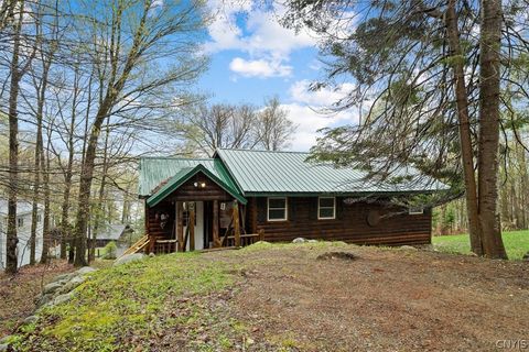 Photo of 165 Seneca Road, Webb, NY 13420 (MLS # S1679790)