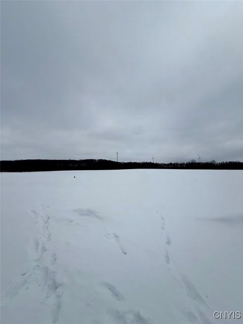 Tiny photo for 4150 Cole Street, Madison, NY 13402 (MLS # S1660554)