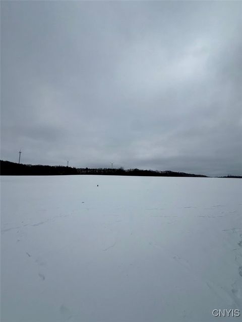 Tiny photo for 4150 Cole Street, Madison, NY 13402 (MLS # S1660554)