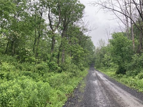 Lynch Road Newport NY 13416