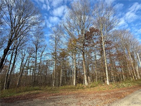 Tiny photo for 00 Magpie Lane, Truxton, NY 13158 (MLS # S1647922)