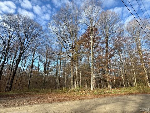 Photo of 00 Magpie Lane, Truxton, NY 13158 (MLS # S1647922)