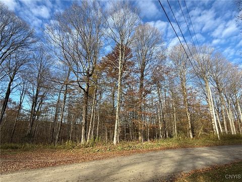 Tiny photo for 00 Magpie Lane, Truxton, NY 13158 (MLS # S1647922)
