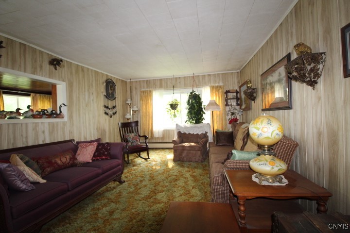 4432 Riverview Road #R, Clay, New York image 45