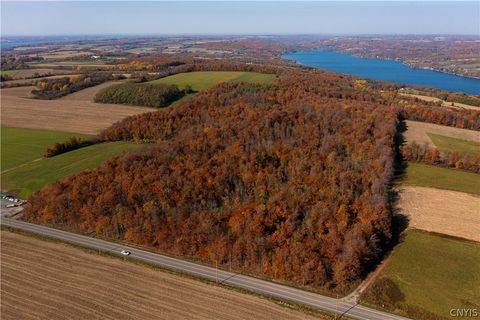 0 E Lake Road Skaneateles NY 13152