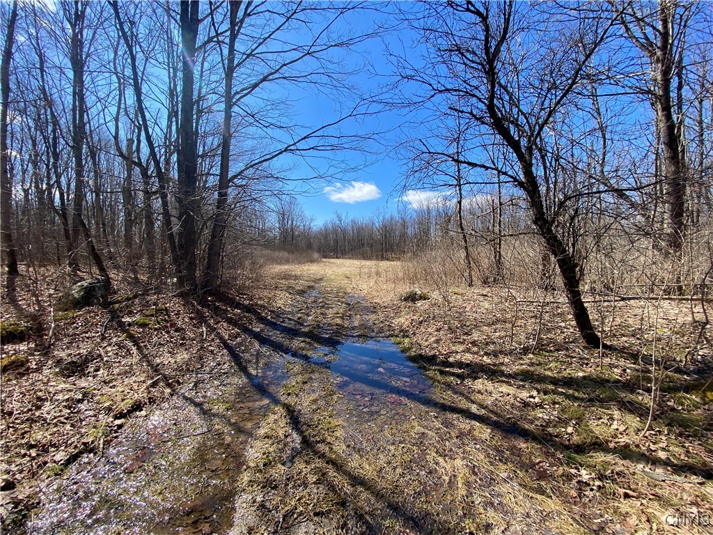 Cr-19, Hermon, New York image 7
