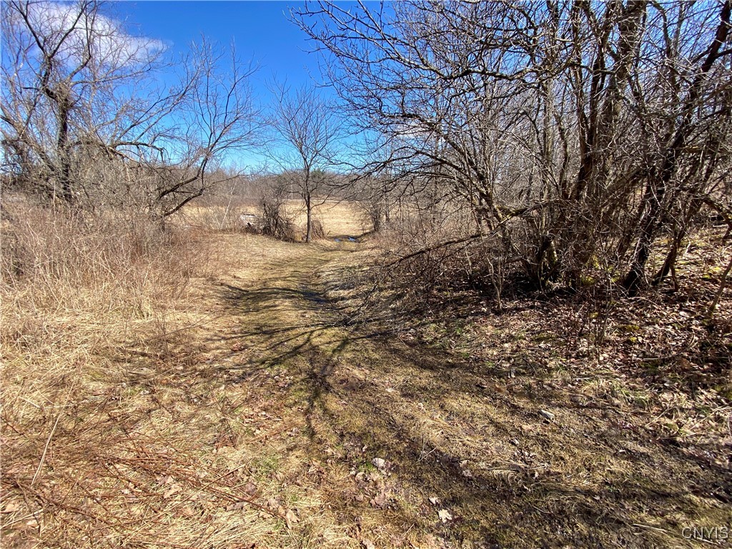 Cr-19, Hermon, New York image 5