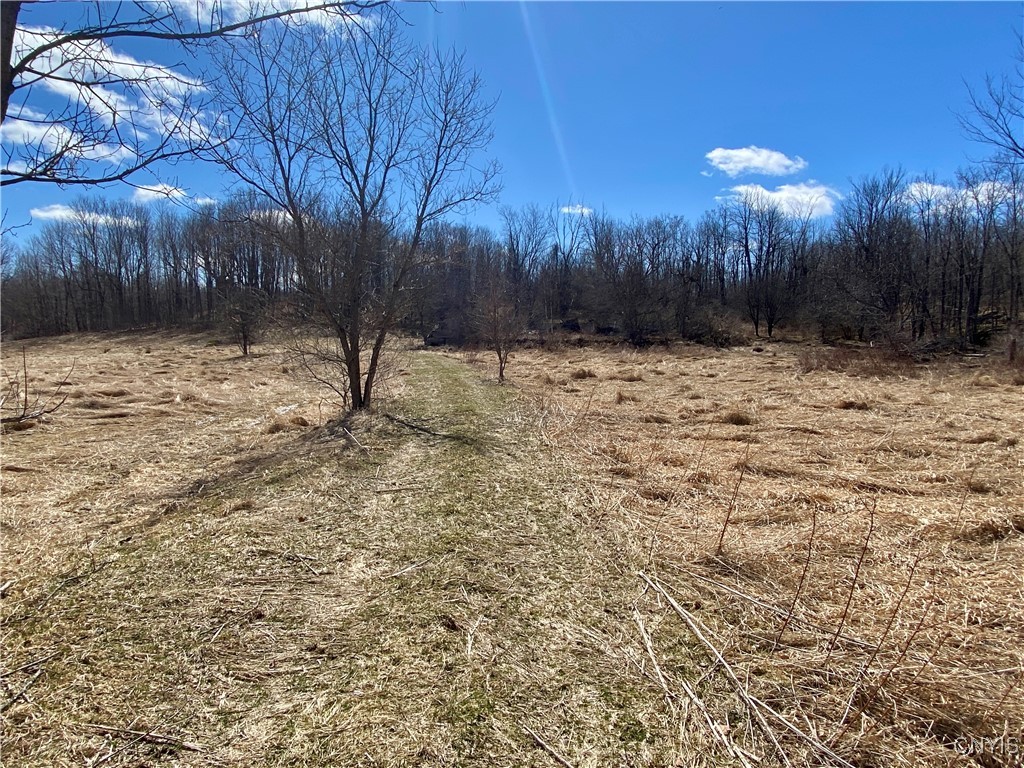 Cr-19, Hermon, New York image 10