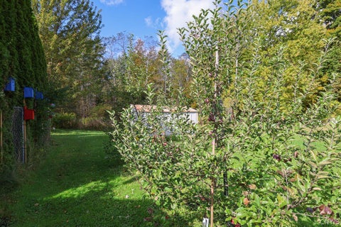 Tiny photo for 7901 Owasco Avenue, Cicero, NY 13039 (MLS # S1720251)