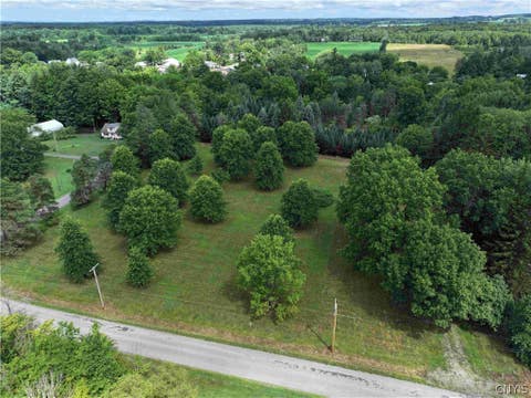 Vacant Land For Sale - Mill Street<br/> Erie County, Collins, NY 14034
