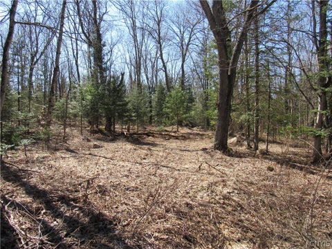 Vacant Land For Sale - 1018 South Road<br/> Oneida County, Forestport, NY 13338