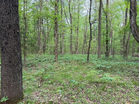 Vacant Land For Sale - Kellogg Hill Road<br/> Leon, NY 14138