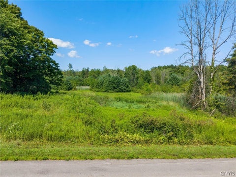 Vacant Land For Sale - 210 Goodfellow Road<br/> Palermo, NY 13069