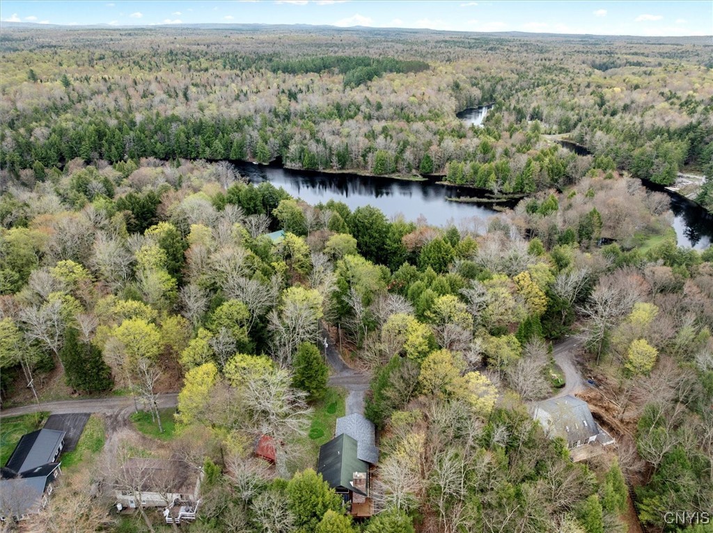 9039 Woods Road, Remsen, New York image 10