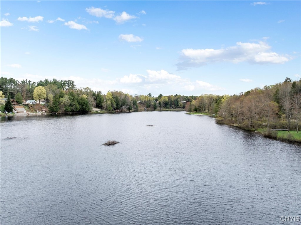 9039 Woods Road, Remsen, New York image 12