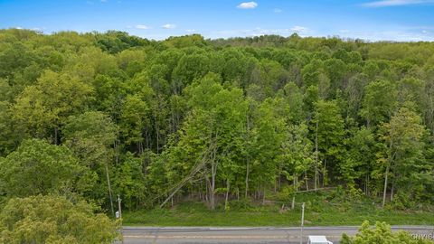 0 State Route 38 Scipio Center NY 13147