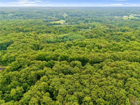Tiny photo for 14165 Wilde Road, Sterling, NY 13111 (MLS # S1708916)