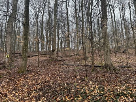 Nob Road Utica NY 13501