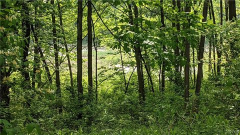 Vacant Land For Sale - Westland Drive<br/> Eaton, NY 13310