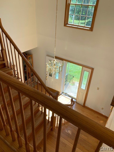 384 Pardeeville Road