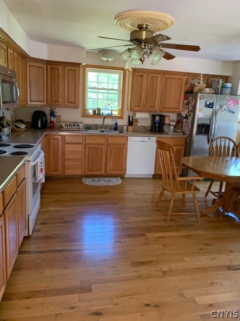 384 Pardeeville Road