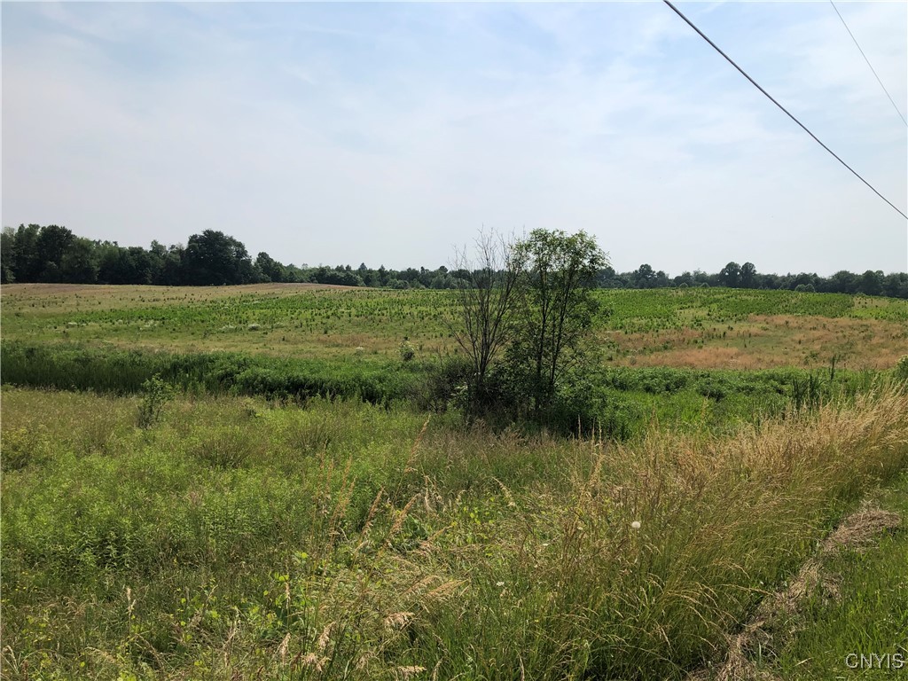 00 Dutch Ridge Rd - Lot #7