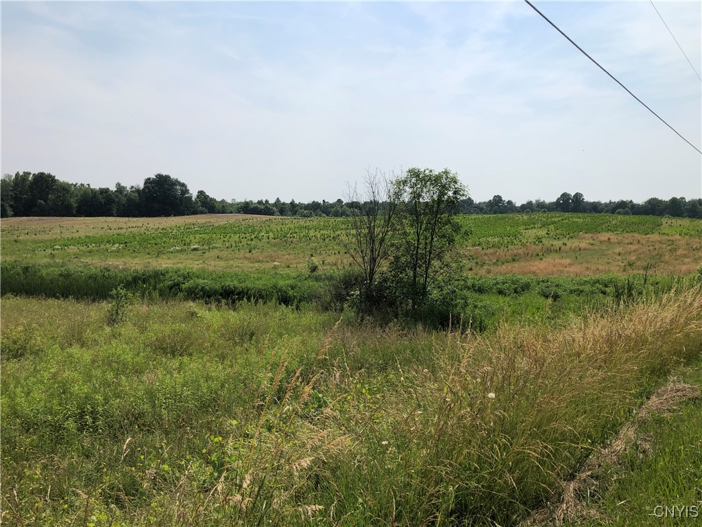 00 Dutch Ridge Rd - Lot #7