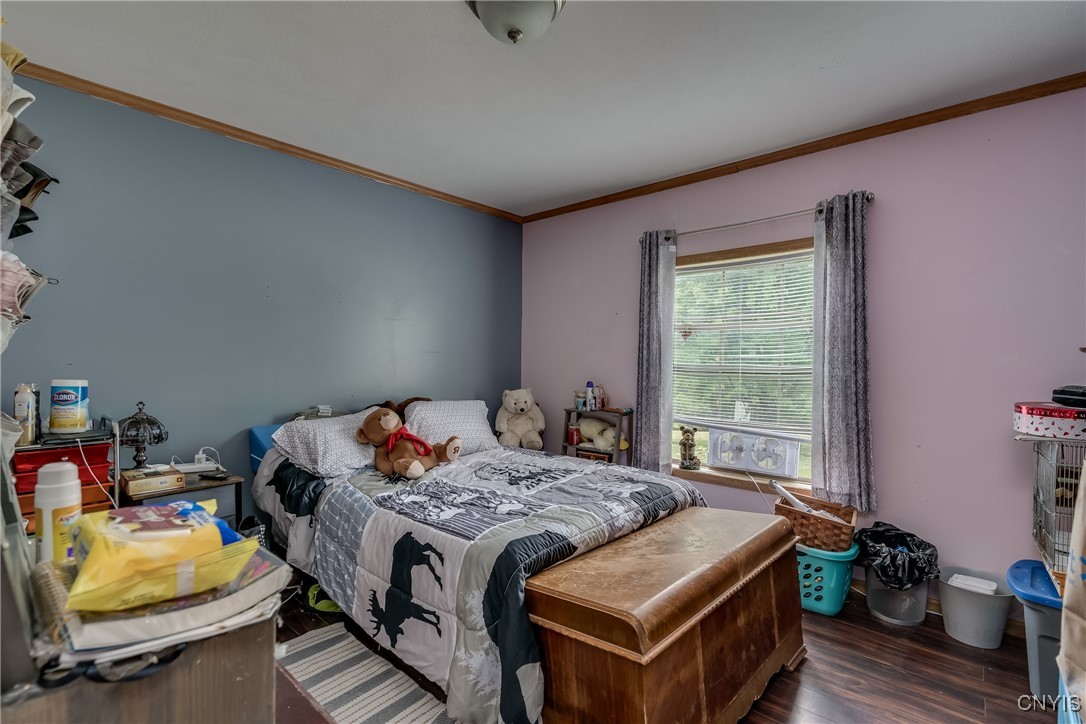 13951 County Route 156, Rodman, New York image 21