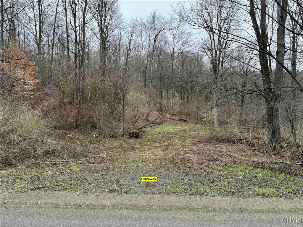 28th Creek Road, Ellington, New York image 5
