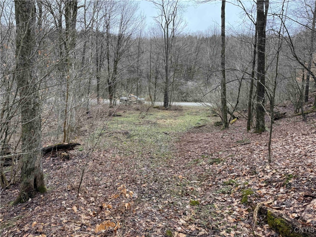 28th Creek Road, Ellington, New York image 7