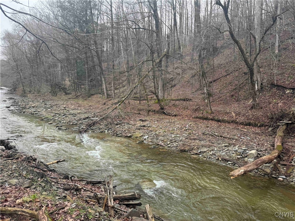 28th Creek Road, Ellington, New York image 27