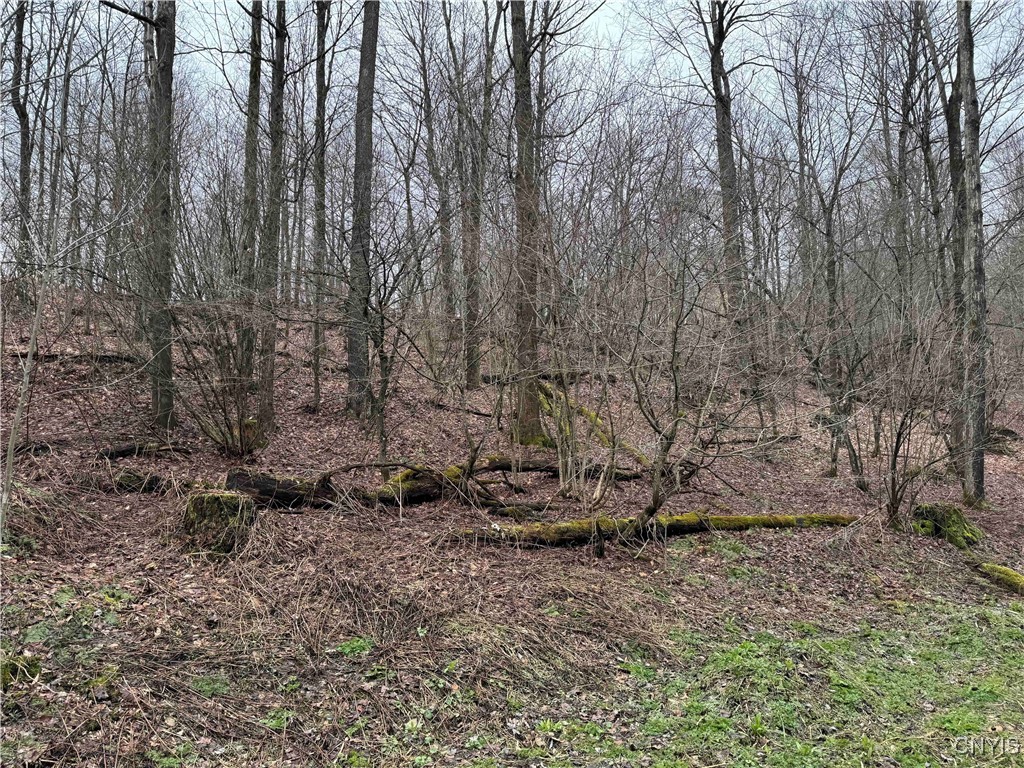 28th Creek Road, Ellington, New York image 9
