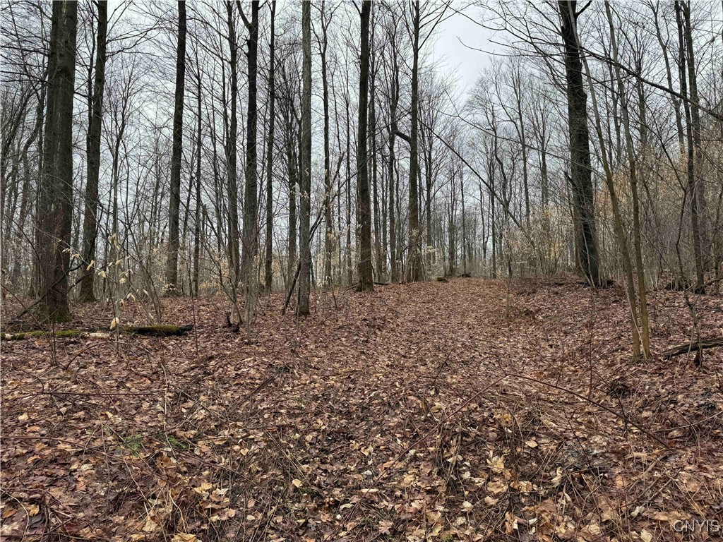 28th Creek Road, Ellington, New York image 13