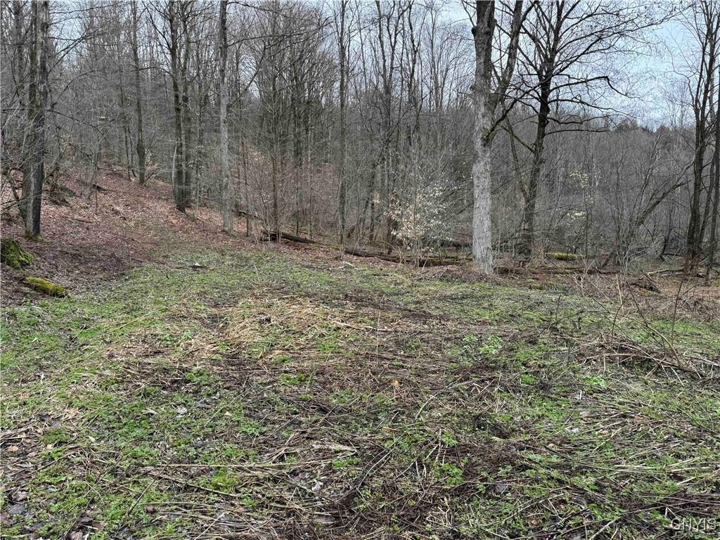 28th Creek Road, Ellington, New York image 6