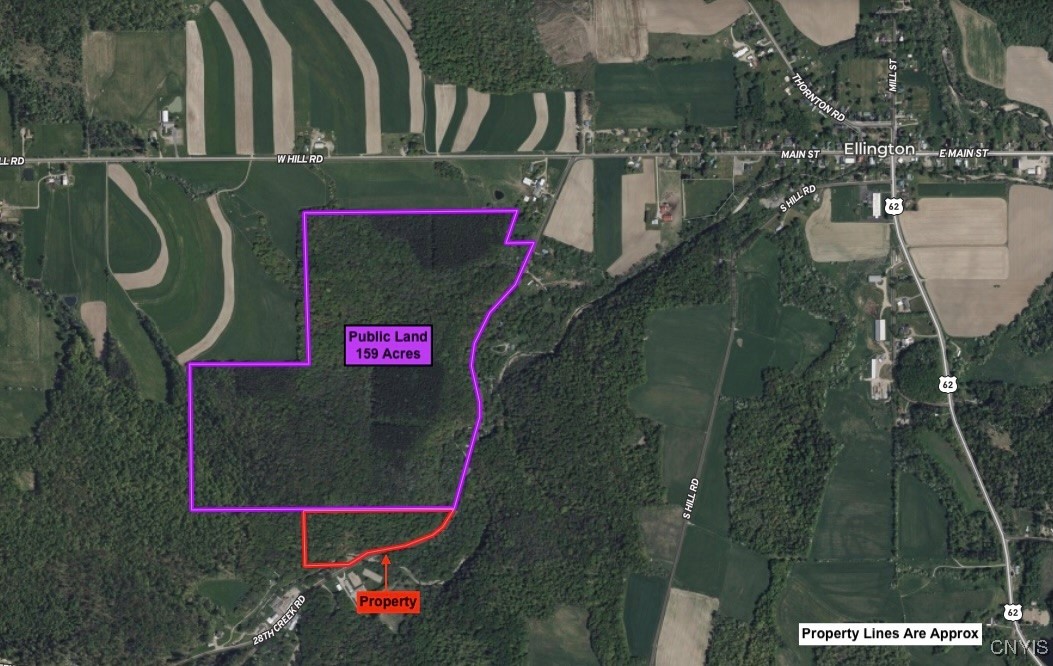 28th Creek Road, Ellington, New York image 3