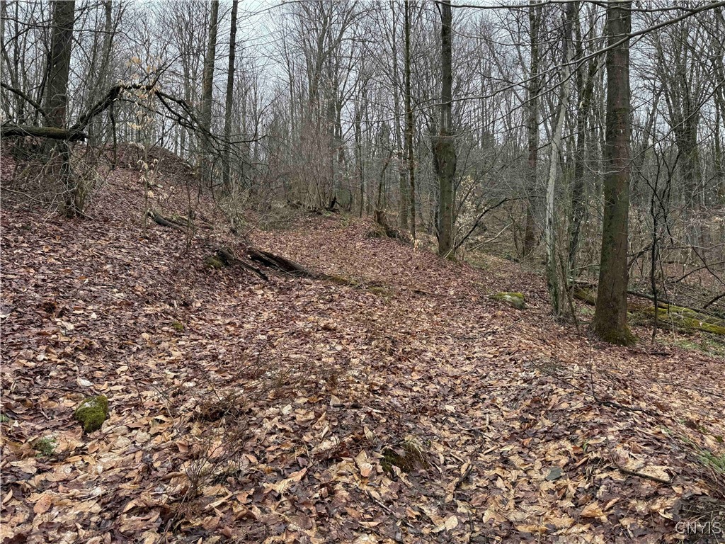 28th Creek Road, Ellington, New York image 10