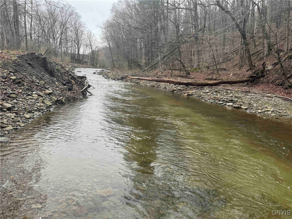 28th Creek Road, Ellington, New York image 1