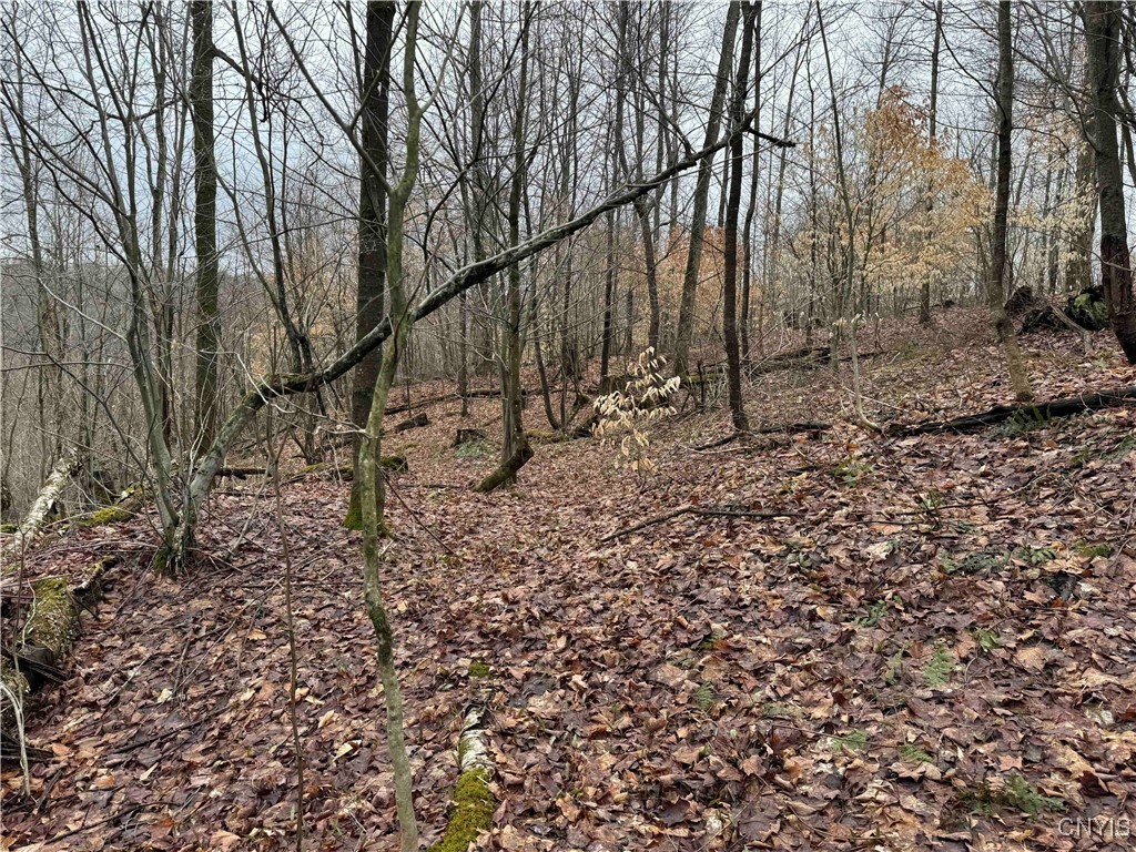 28th Creek Road, Ellington, New York image 23