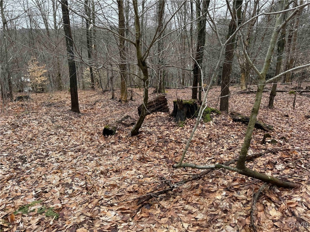 28th Creek Road, Ellington, New York image 25