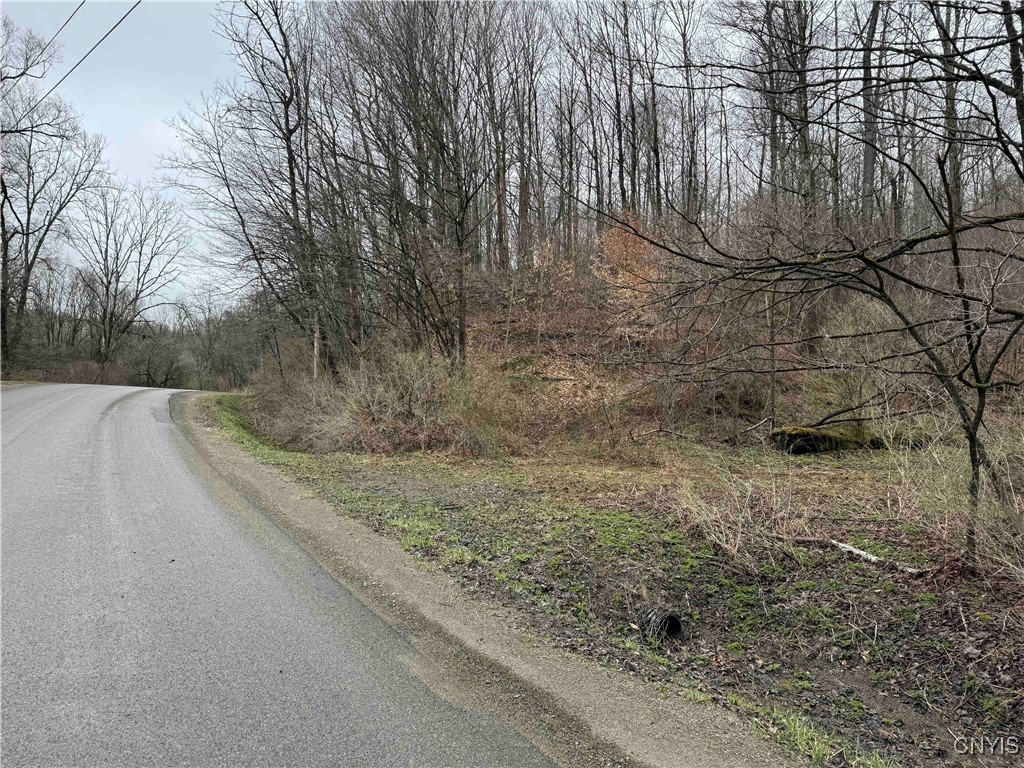 28th Creek Road, Ellington, New York image 30