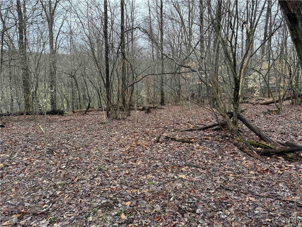 28th Creek Road, Ellington, New York image 16
