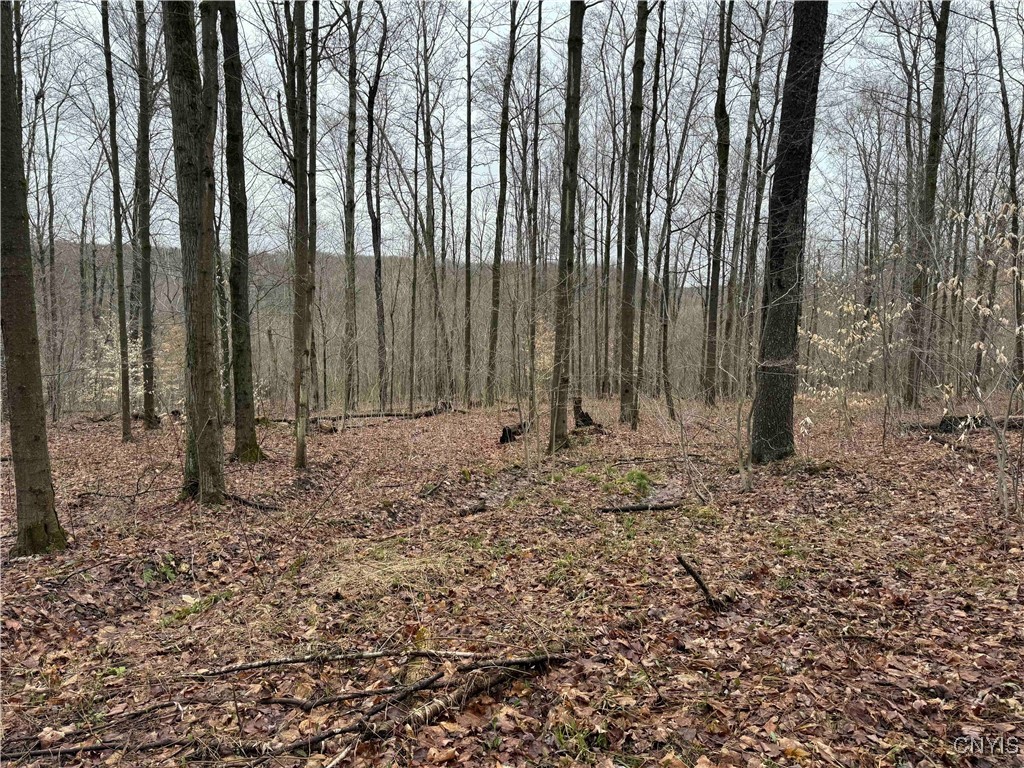 28th Creek Road, Ellington, New York image 19