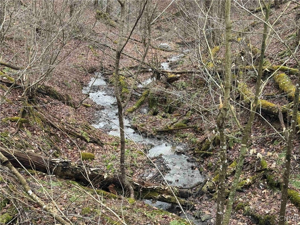 28th Creek Road, Ellington, New York image 21